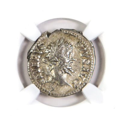 Septimius Severus Roman AR Denarius (AD 193-211) NGC