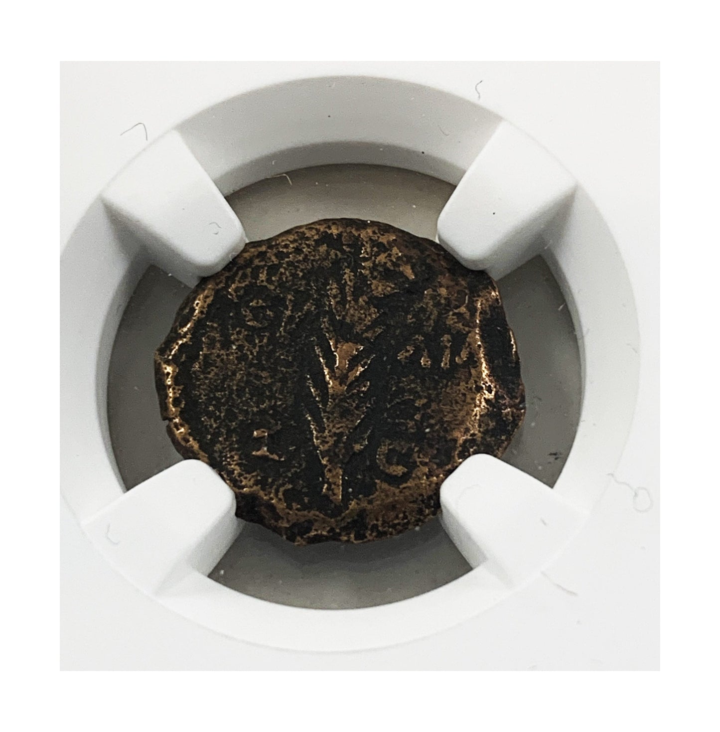 Judaea AE Prutah Of Valerius Gratus (AD 15–26) NGC